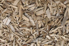biomass boilers Llan Dafal
